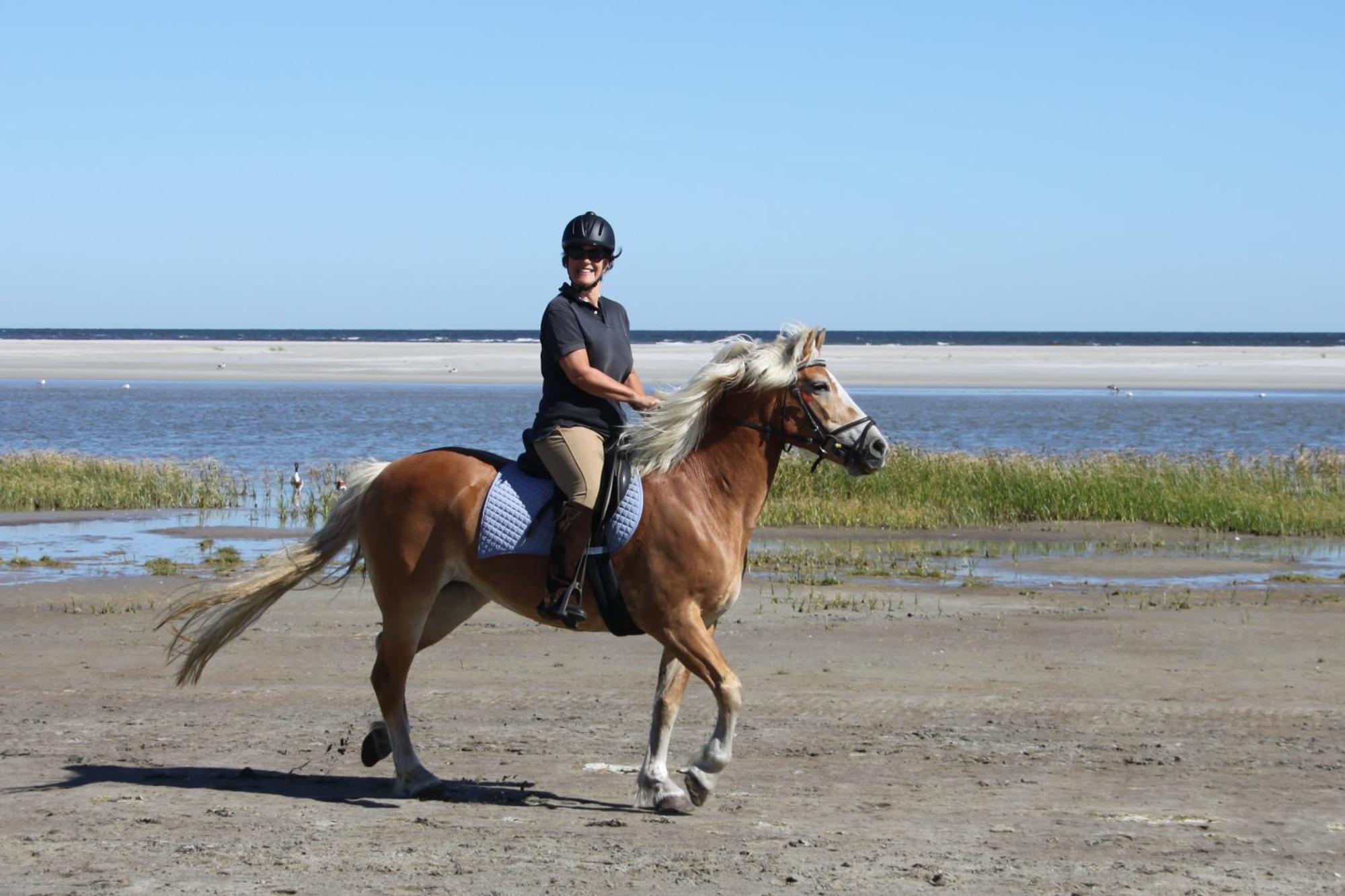Naar Zee op Ameland Buren  Buitenkant foto